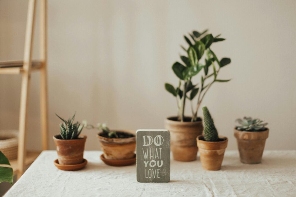 Do what you love and make system. Forget Passion